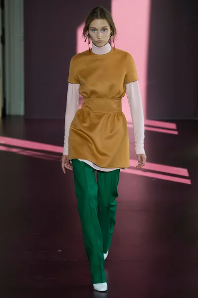 Look 29